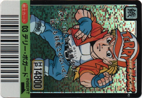 テリー・ボガード TERRY BOGARD